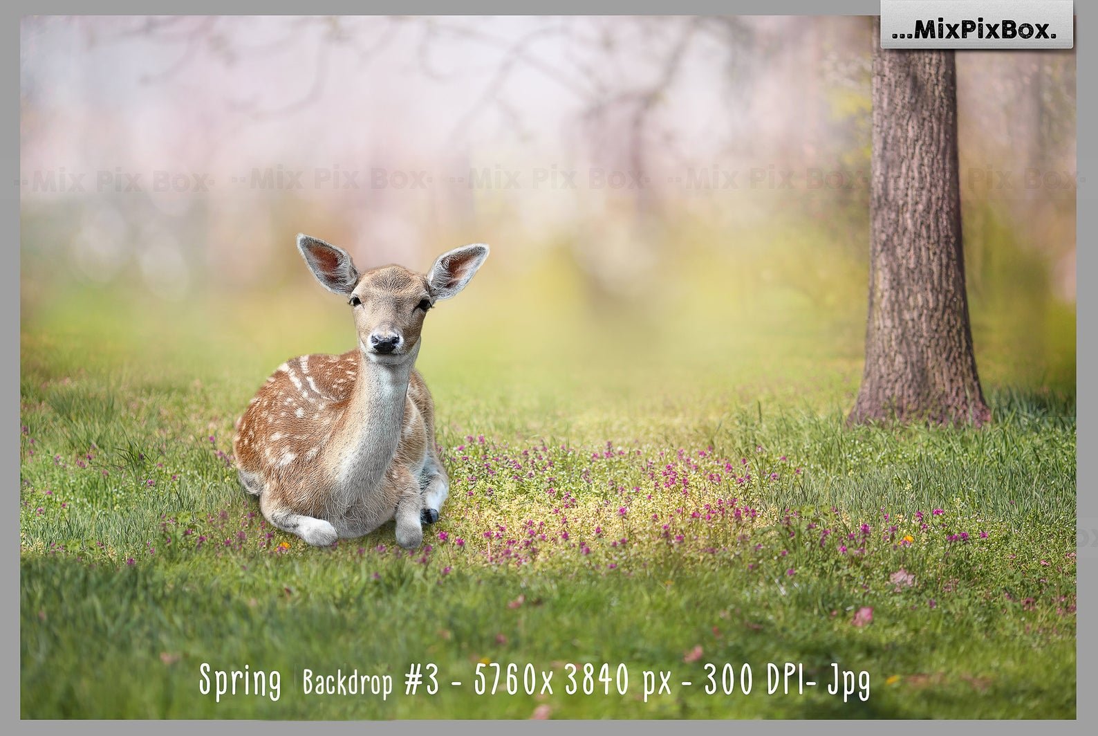 Spring Backdrop + Animals