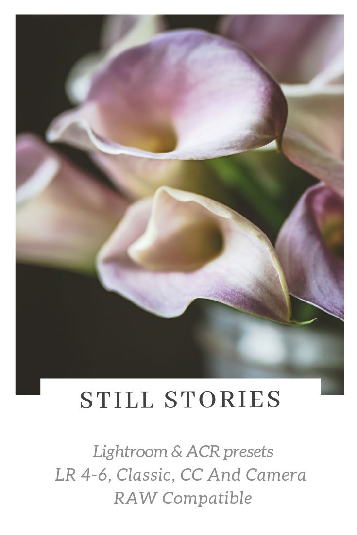 Still Stories Lightroom ACR Presets