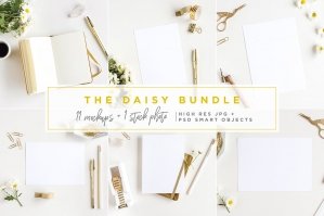 The Daisy Bundle - 11 Mockups and a Stock Photo
