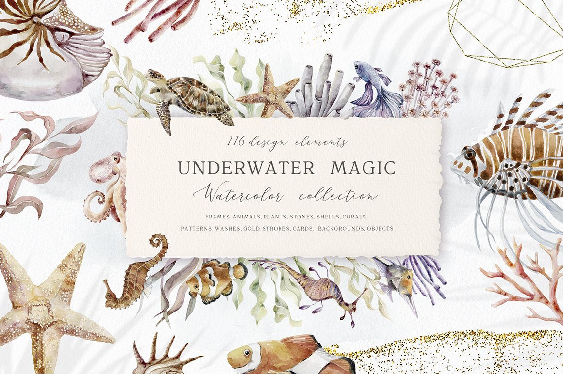 Underwater Magic - Marine Animals, Plants, Frames