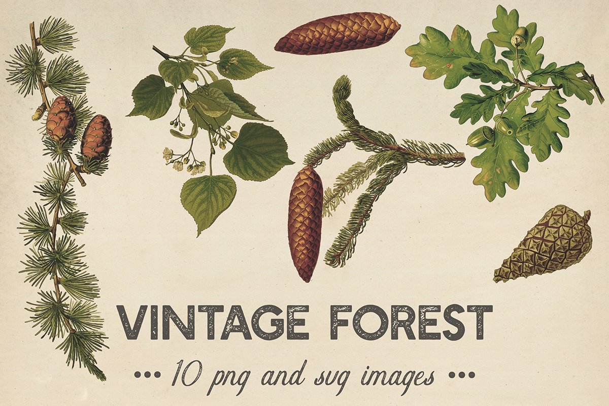 Vintage Plants Clipart