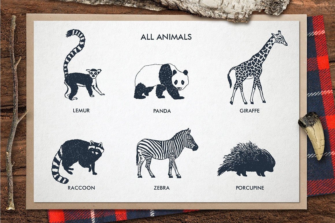 Zoonimals - 12 Hand Drawn Animals