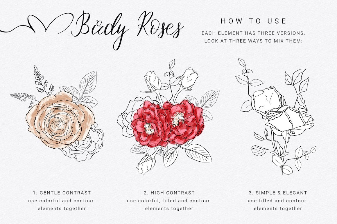 Birdy Roses Collection: Floral Clipart & Patterns