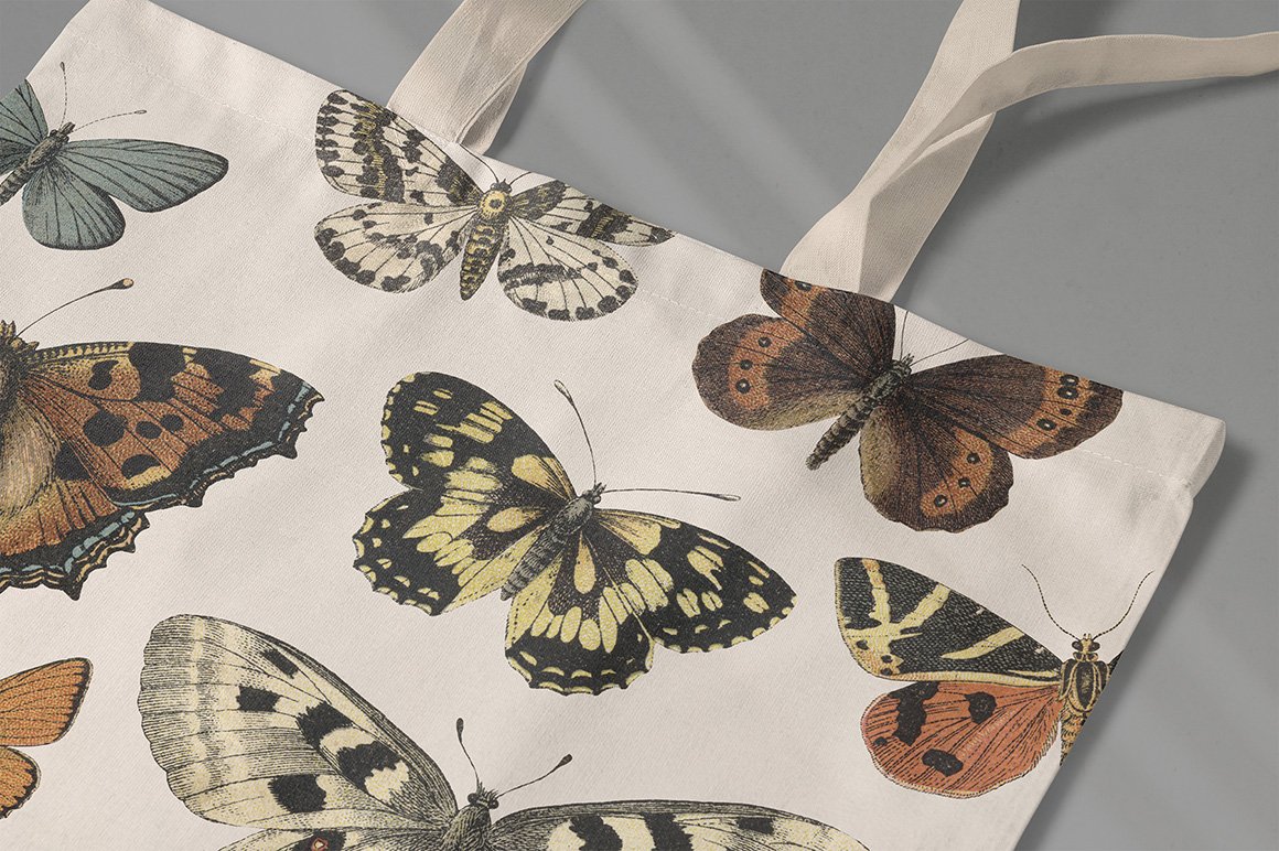 Butterflies & Moths Vintage Graphics