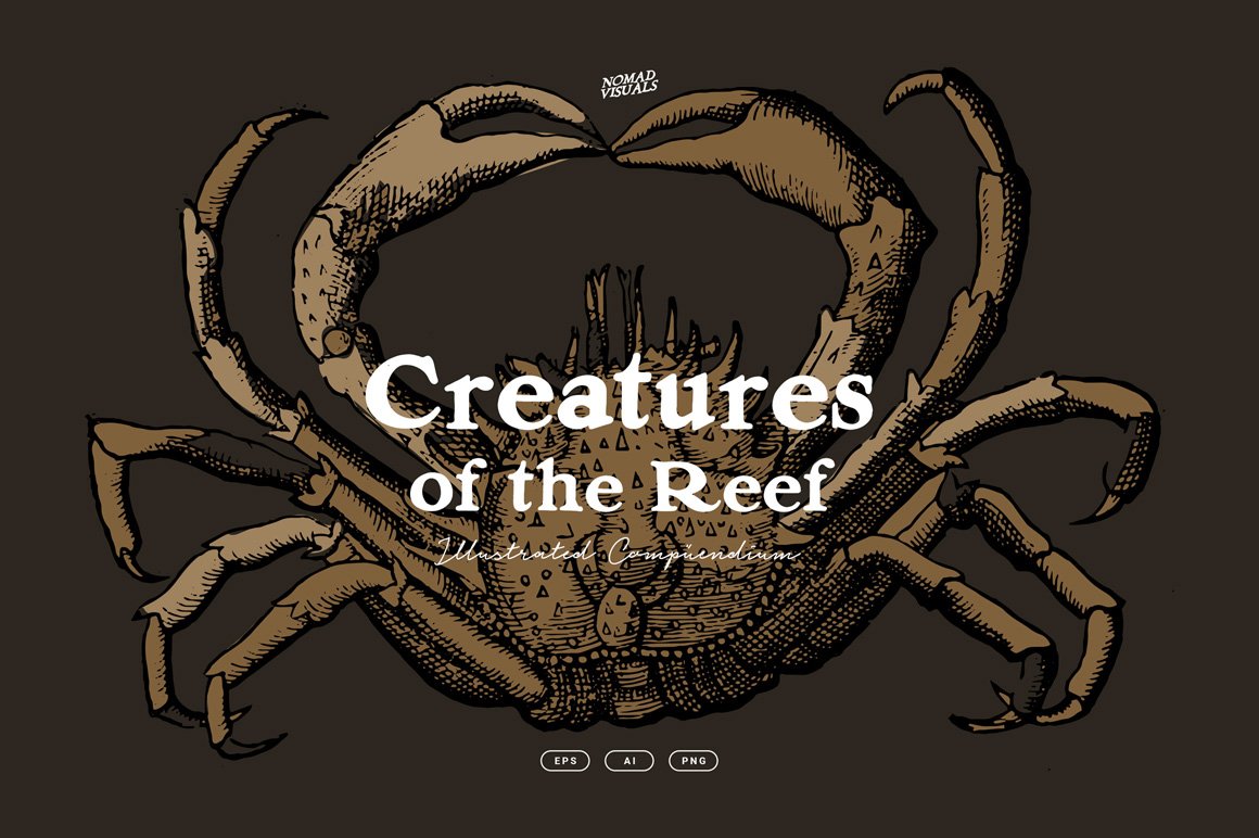 Creatures of the Reef Illustrations