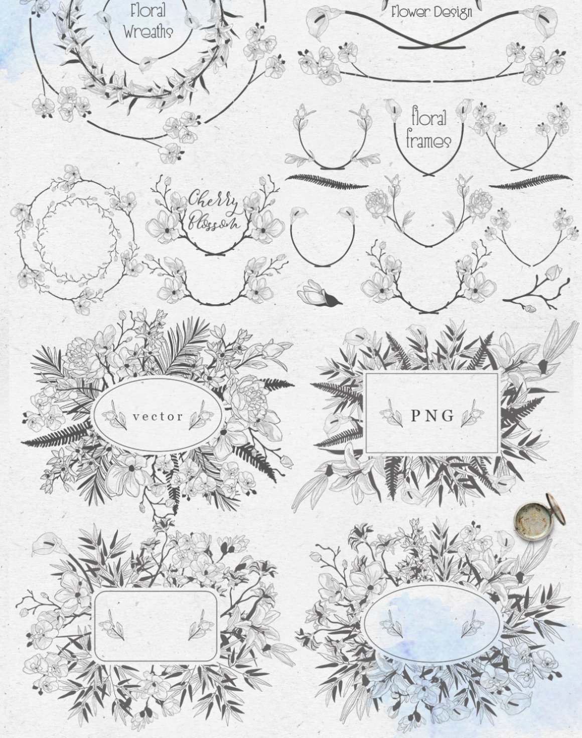 Delicate Blossom Collection of Design Elements