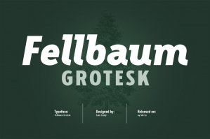 Fellbaum Grotesk Full Font Family