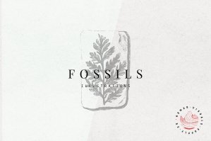 Fossils Illustrations