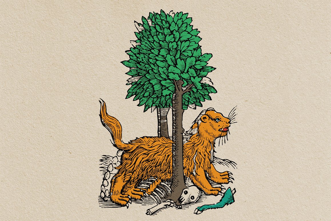 Four Footed Beasts Illustrations