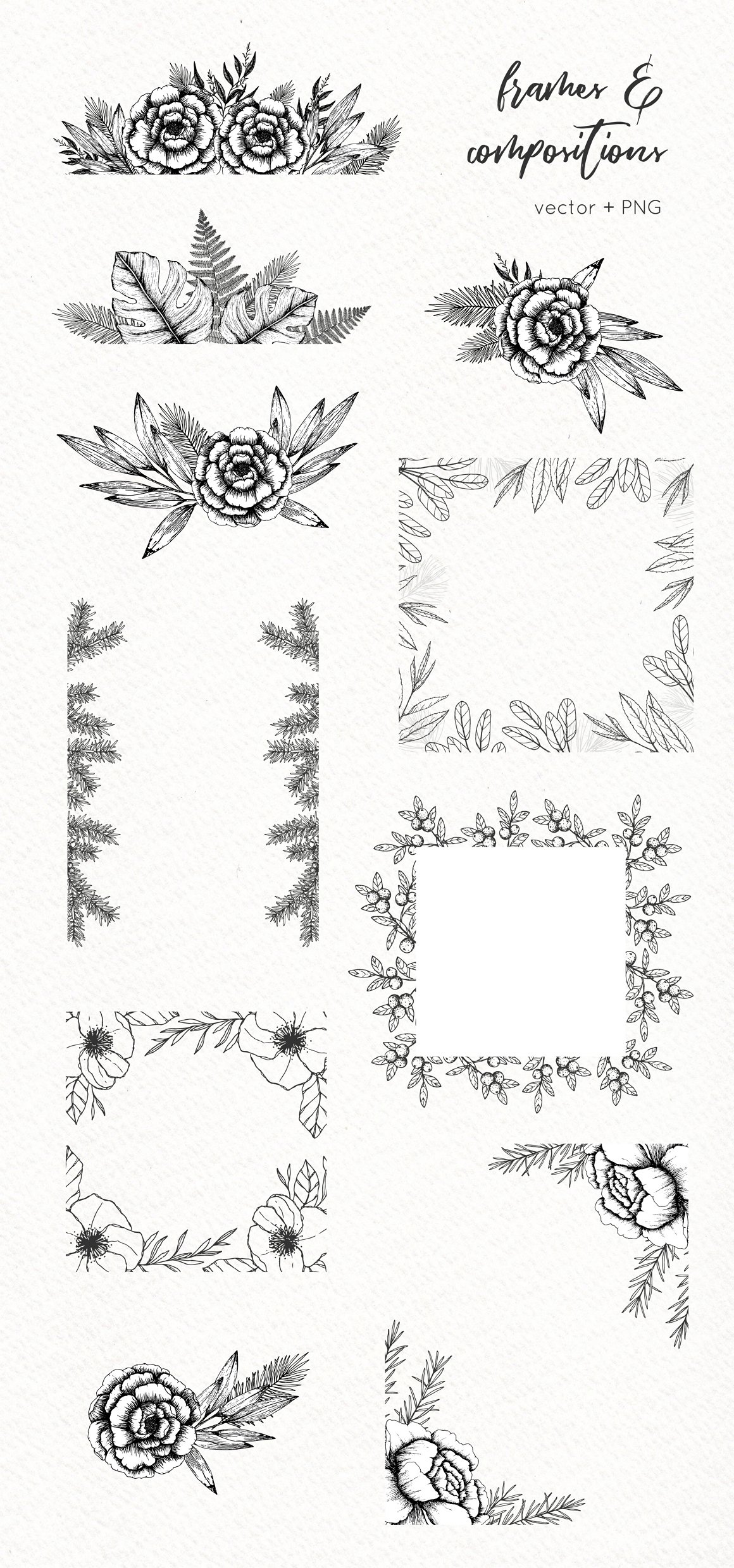 Hand-Drawn Botanical Illustrations Pack