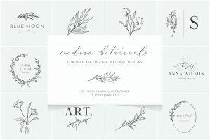 Line Art Botanical Illustrations & Logo Templates