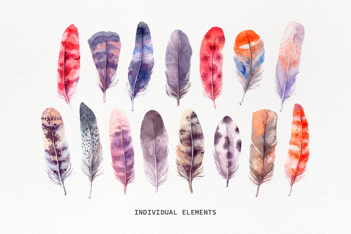 Lovely Feathers Watercolor Collection