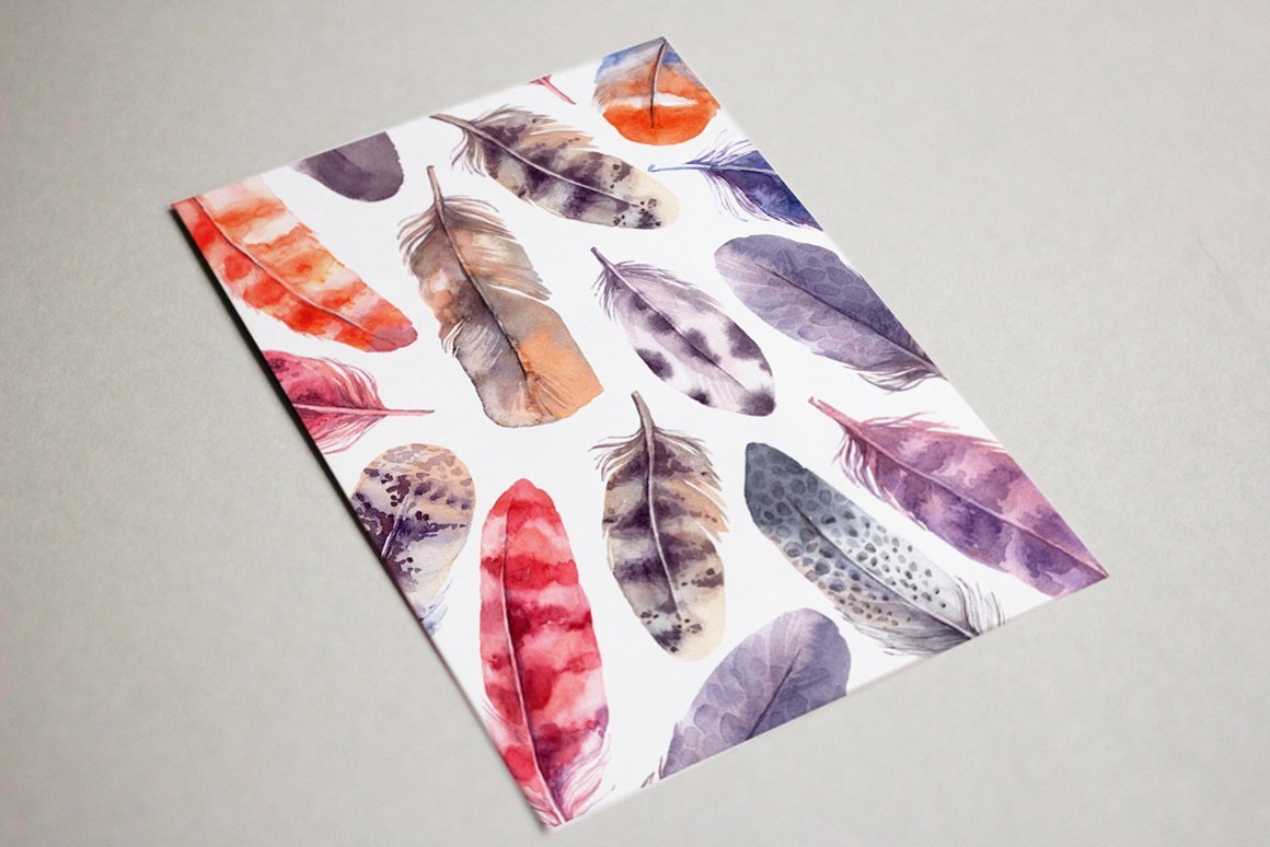 Lovely Feathers Watercolor Collection