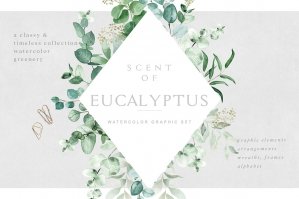 Scent of Eucalyptus - Graphic Set