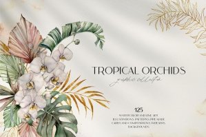 Tropical Orchids. Watercolor Graphic Collection