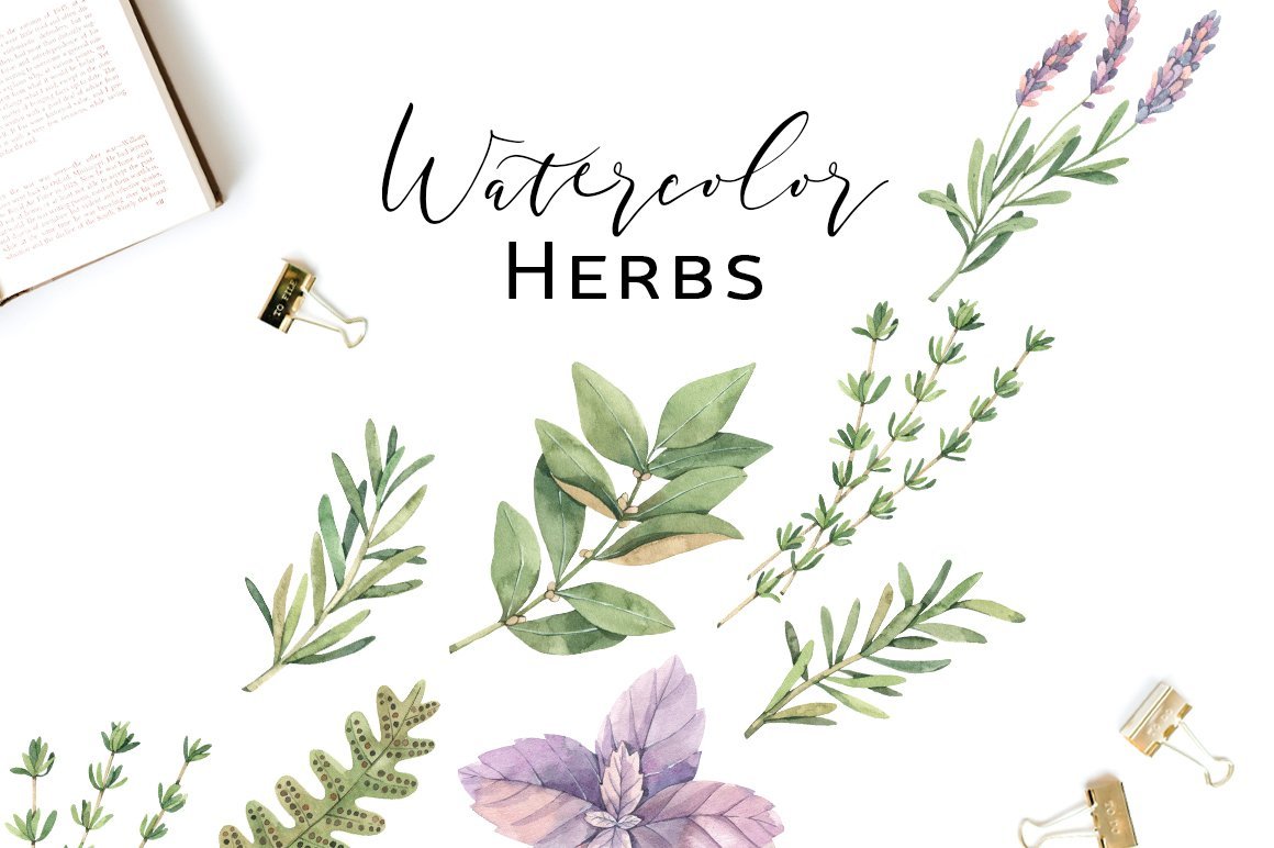 Watercolor Herbs Collection. Sage, Fern, Basil