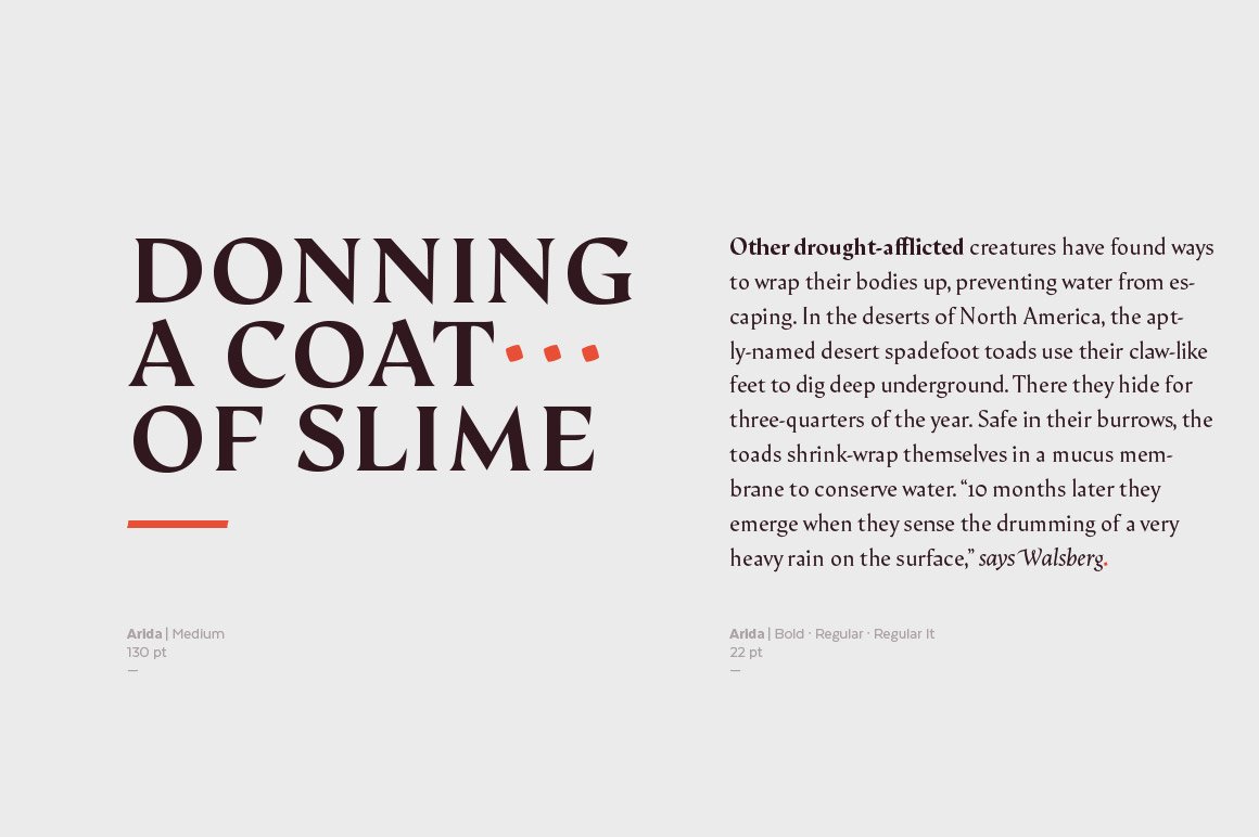 The Deliciously Versatile Font CollectionE