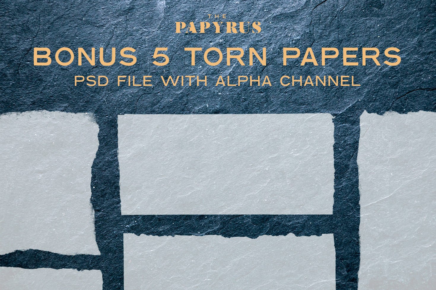 65 Paper Textures