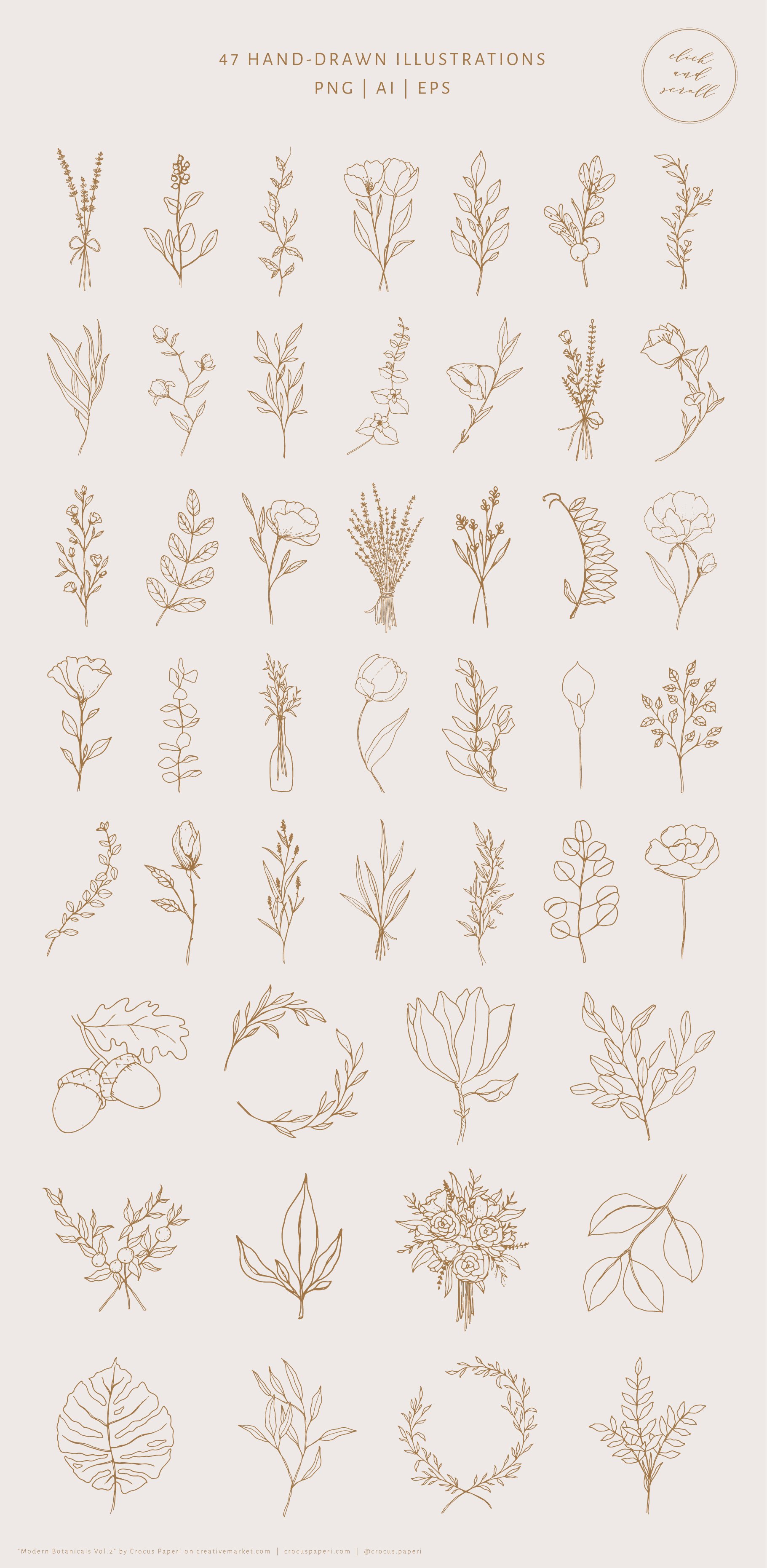 Botanical Illustrations & Logo Templates Vol.2
