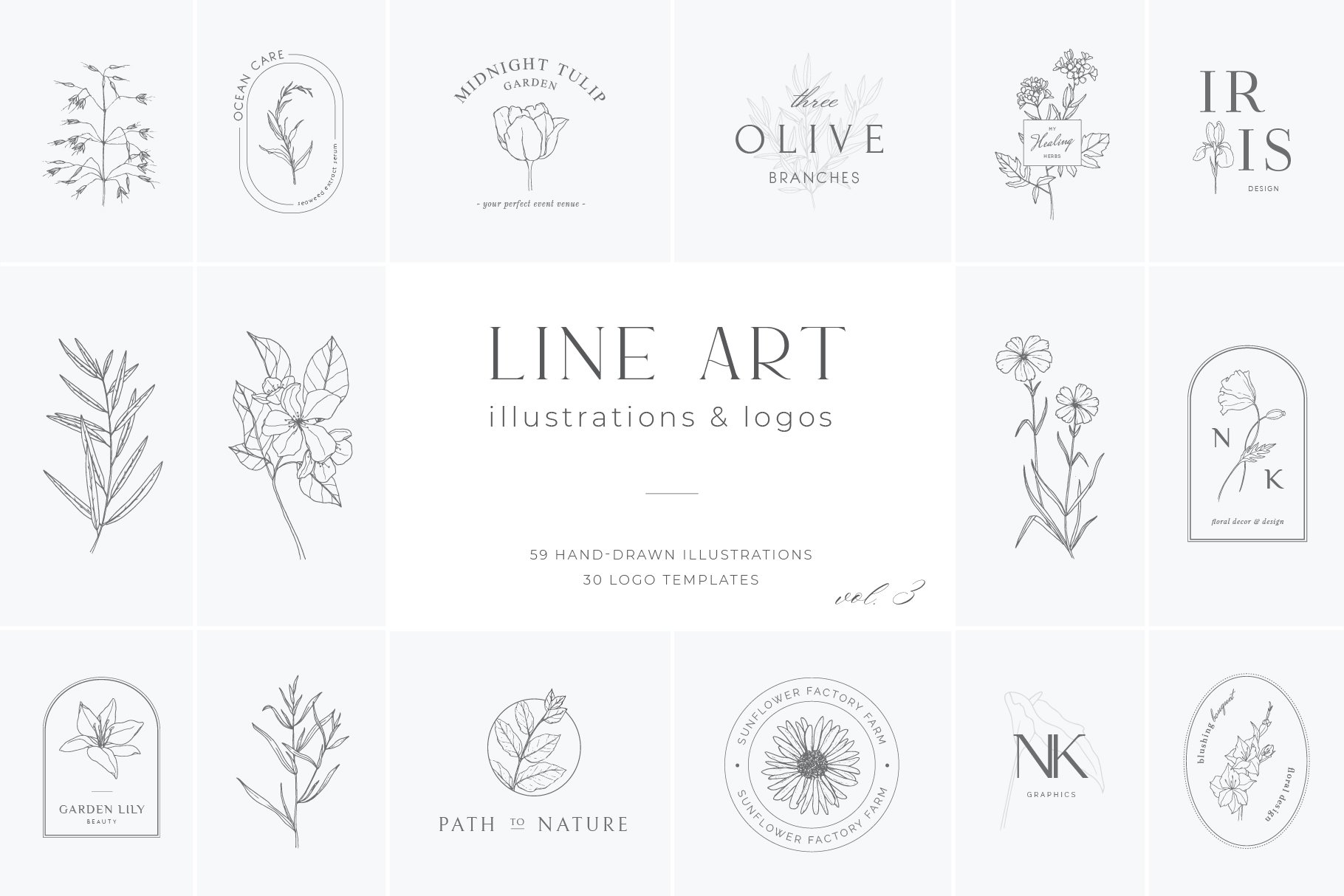 Botanical Illustrations & Logo Templates Vol.3