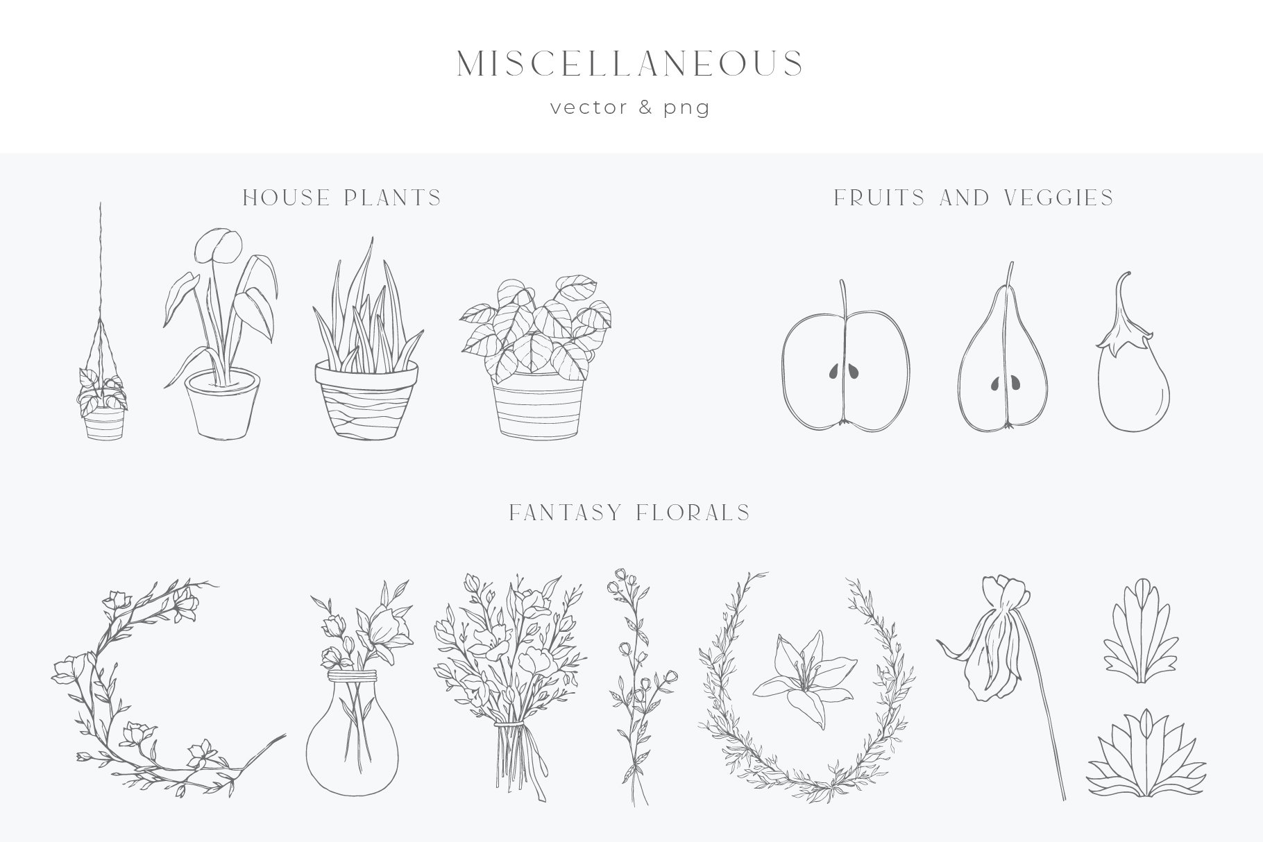 Botanical Illustrations & Logo Templates Vol.3