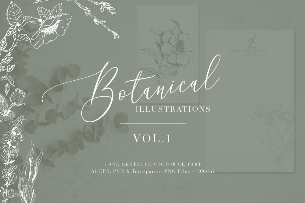 Botanical Illustrations Volume 1 - Design Cuts