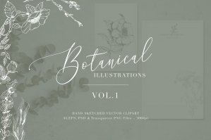 Botanical Illustrations Volume 1