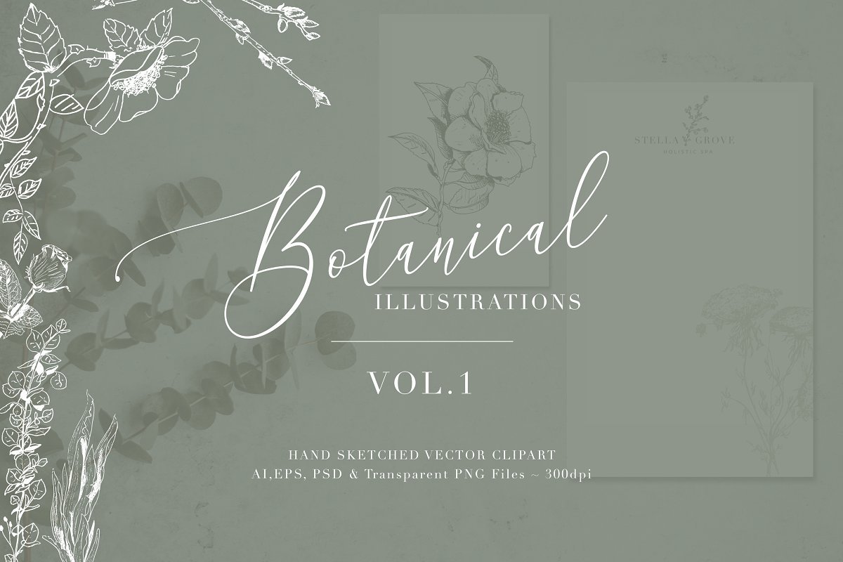 Botanical Illustrations Vol. 1