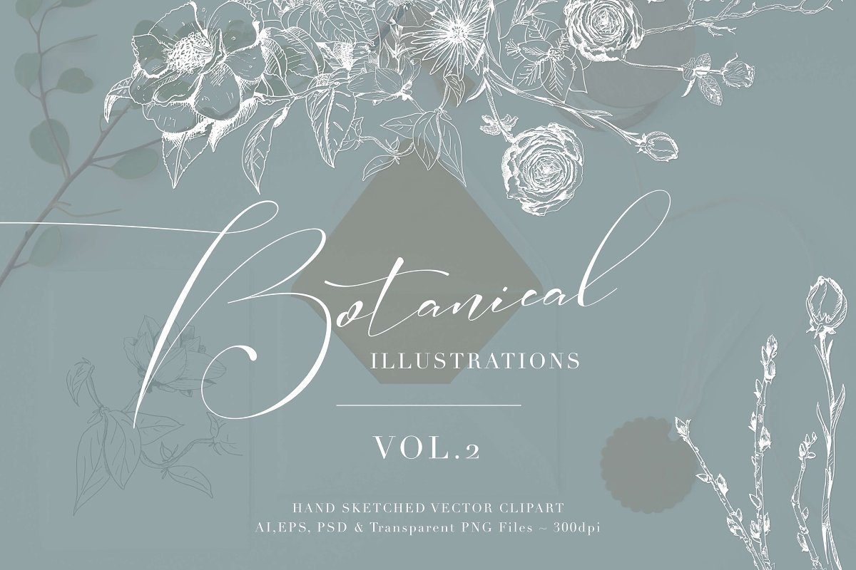 Botanical Illustrations Volume 2