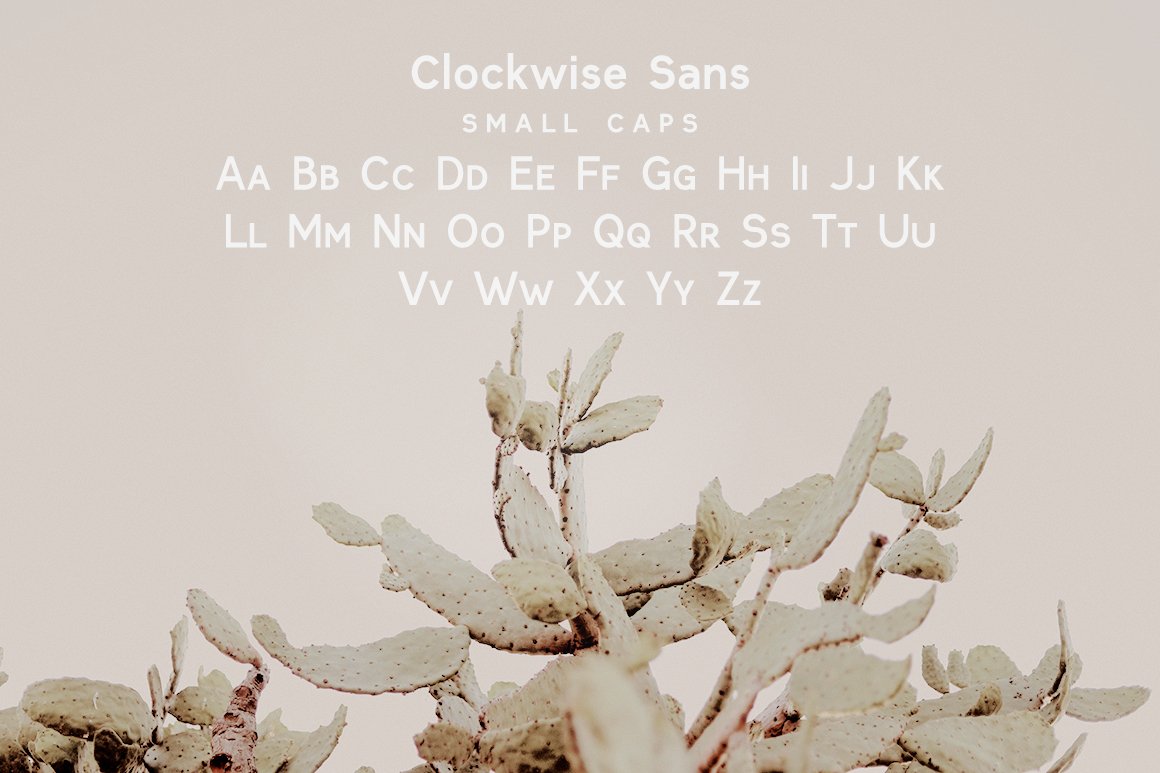 Clockwise Sans Serif Font Family