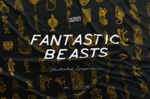 Fantastic Beasts Illustrations