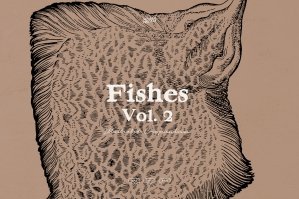 Fishes - Vol. 2