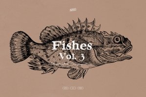 Fishes - Vol. 3