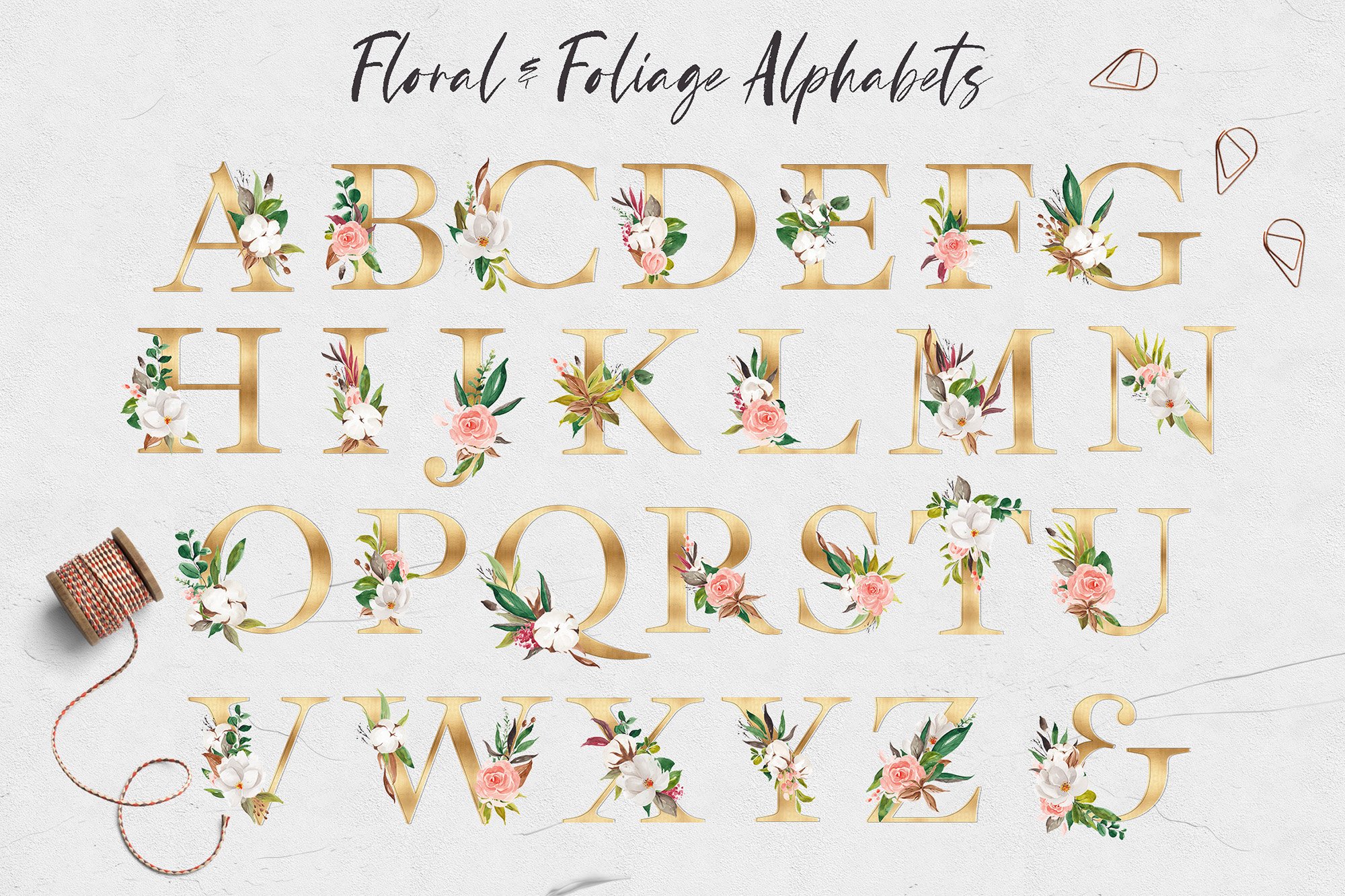 Floral & Foliage Illustration Pack