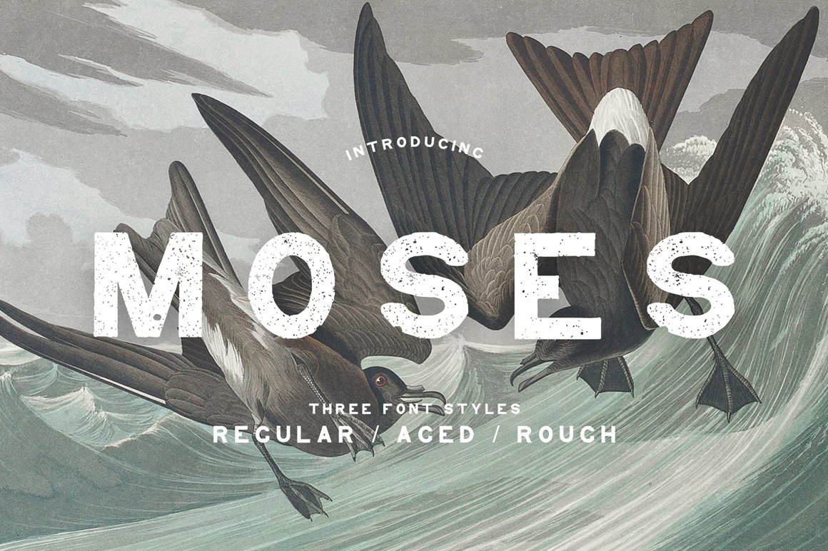 Moses - Display Grotesque Typeface
