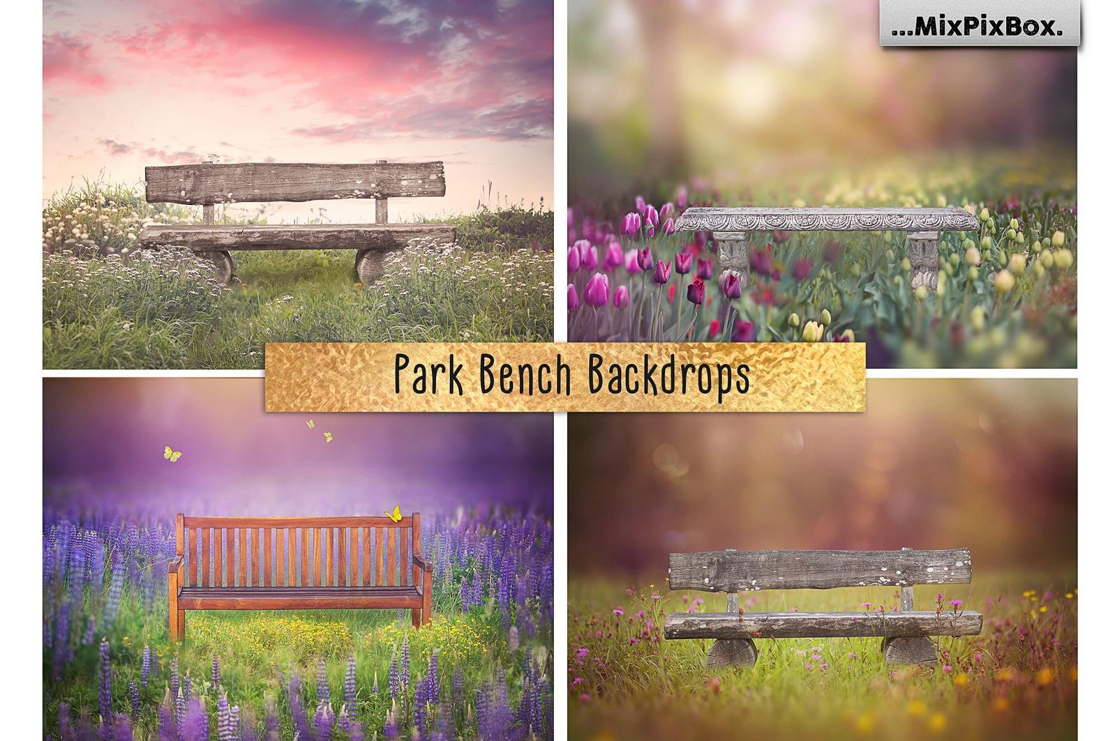 Park Bench Backdrops