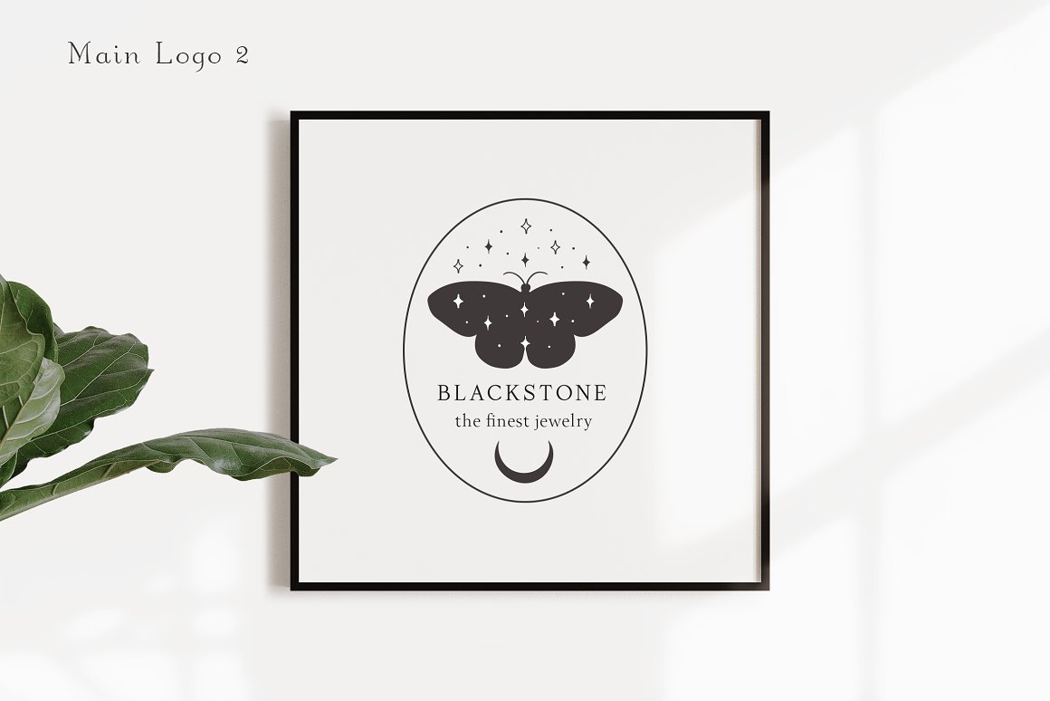 Pre-Made Logo Template and Packaging - Moon Butterfly