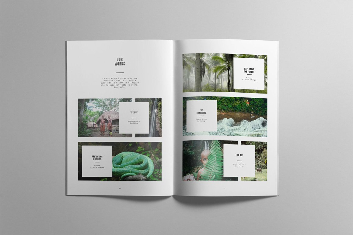 Rainforest Brochure/Portfolio Template