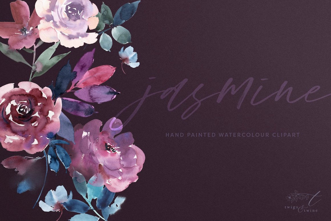 Soft Watercolour Graphics - Jasmine