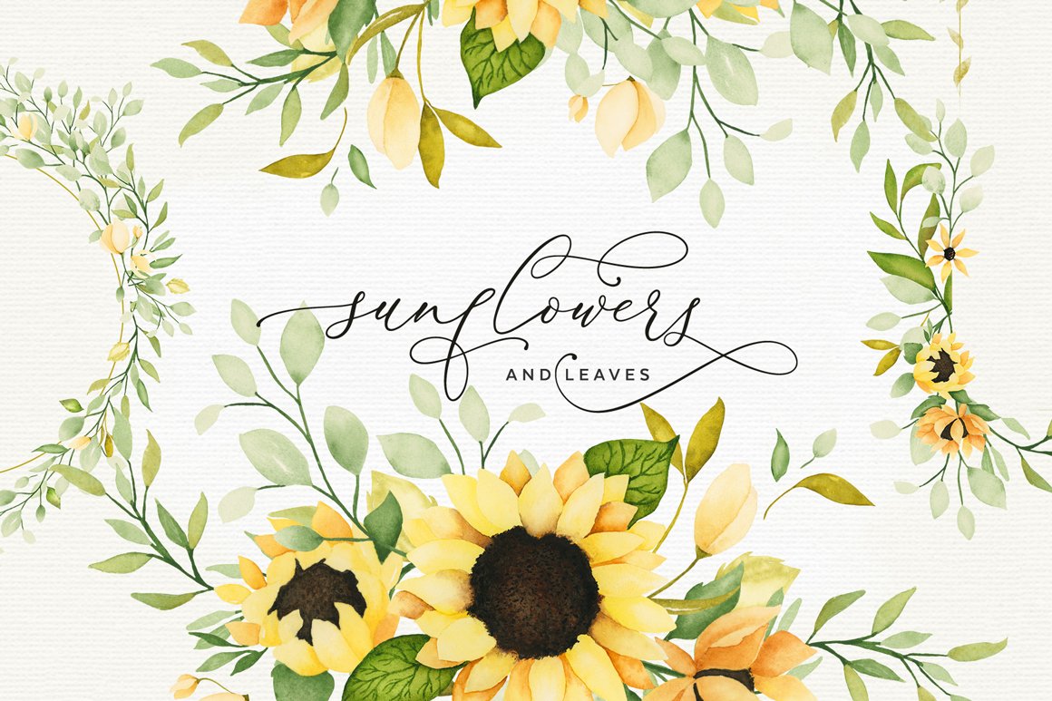 Sunflower Watercolor Flowers and Leaves