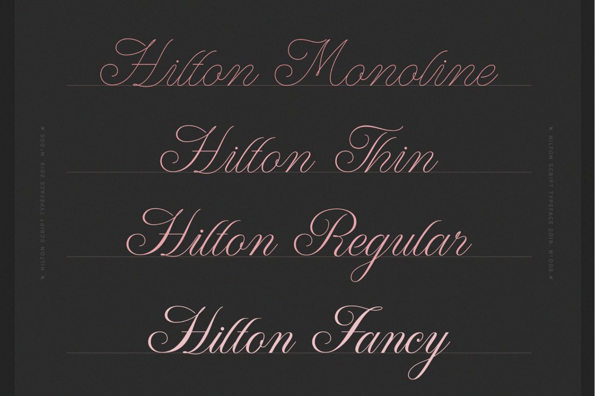 WT Hilton Script Family