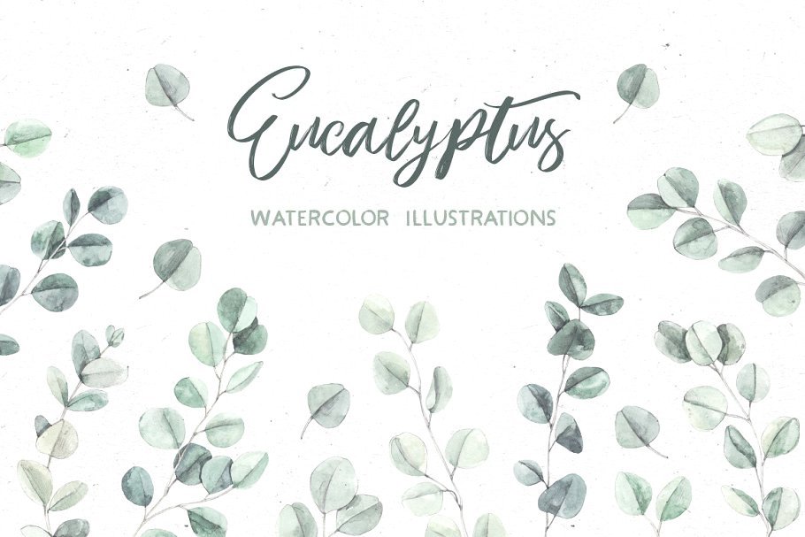 Watercolor Eucalyptus Collection