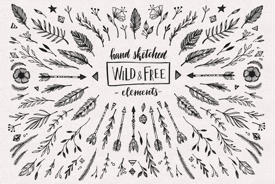 Wild and Free. Floral Design Element
