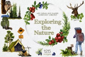 Exploring the Nature Watercolor Collection