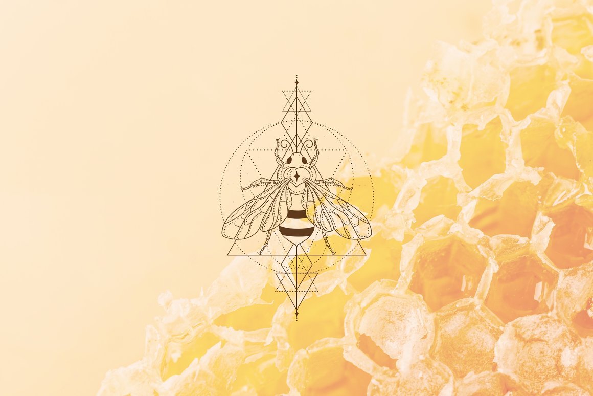Premade Honey Bee Brand Logo Design for Blogs