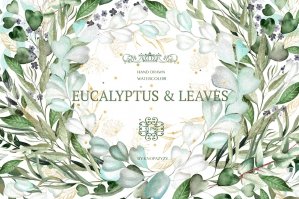 Free: Set of Watercolor Eucalyptus & Leaves
