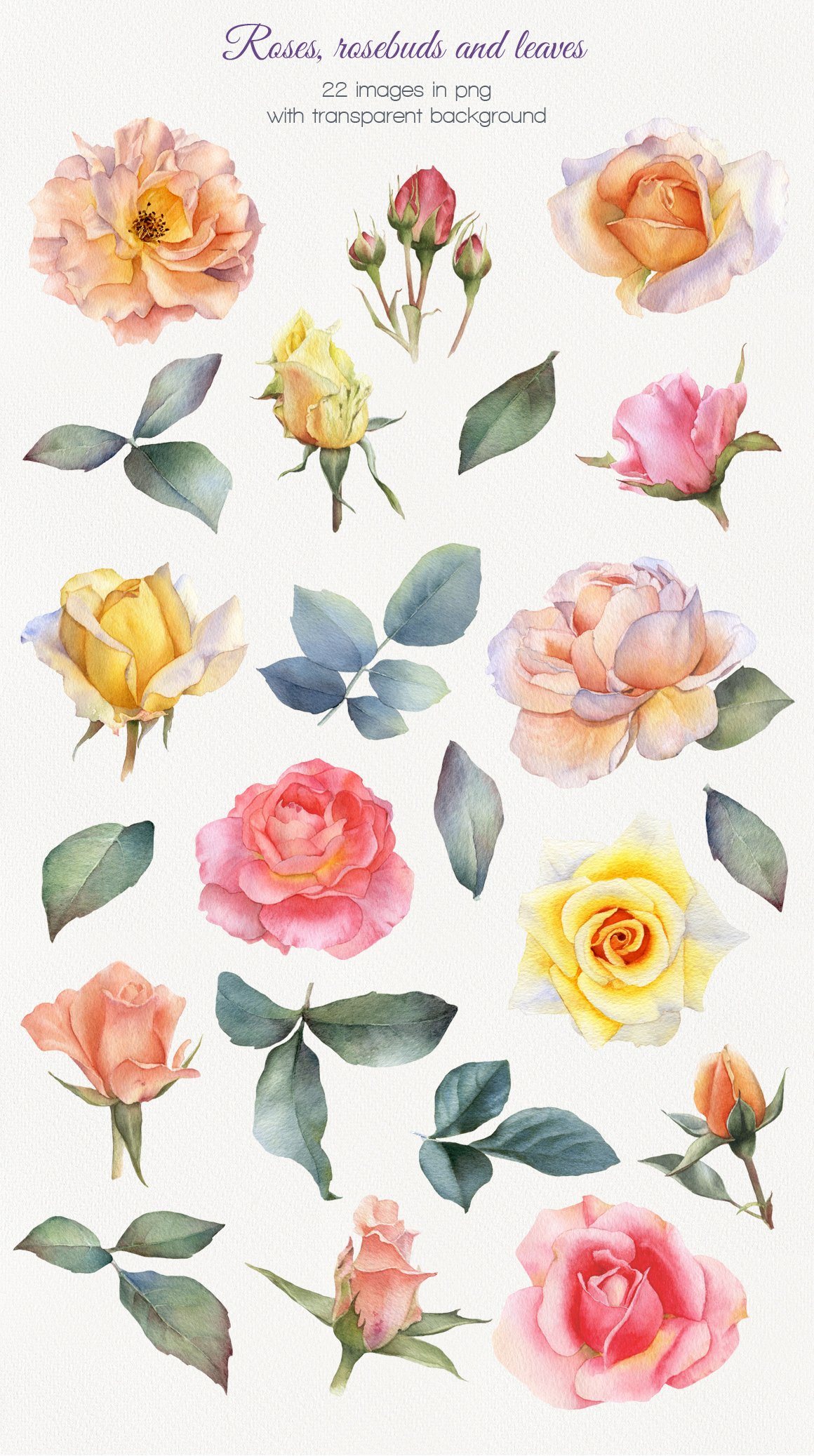 Summer Blossom Watercolor Collection