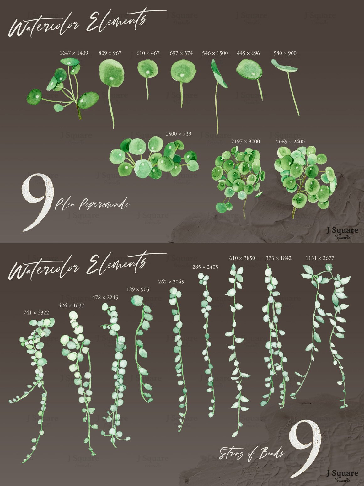 Watercolor Modern Plants Design Element Kit