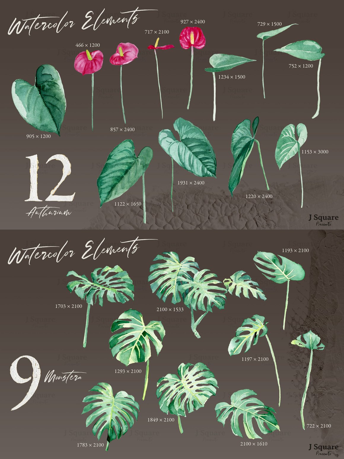Watercolor Modern Plants Design Element Kit
