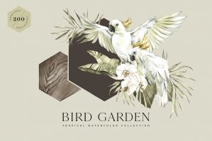Bird Garden Tropical Collection